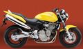 Honda 599, 2004